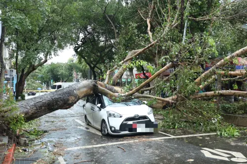 ▲台北三民路樹倒砸車，還橫跨整個車道。（圖／記者陳明安攝）