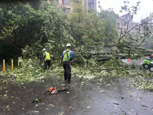 ▲康芮颱風災情，北市最多的災損為路樹倒塌，市府環保局、工務局等局處已與廠商協同，全速投入復原工作。（圖／北市府提供）