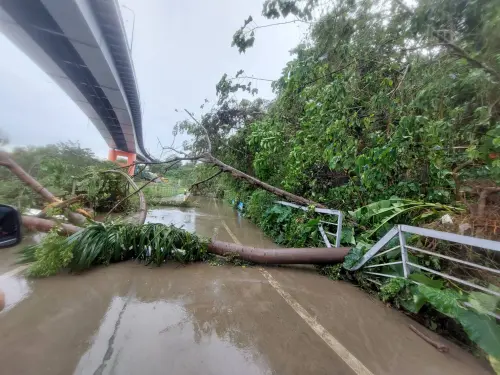 康芮強風豪雨釀傷亡財損 議員林珍羽:北市府應適當補償民眾