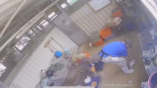 埔心牧場驚傳虐兔!獸醫師腳踩又用力踹開 殘忍驚悚畫面曝光