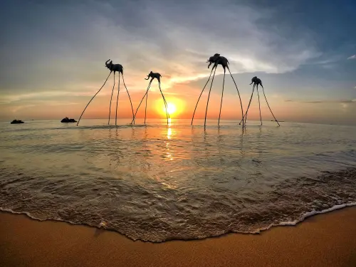 越南免簽？僅針對「1族群」停留90天　定義、資格、如何申請一覽
