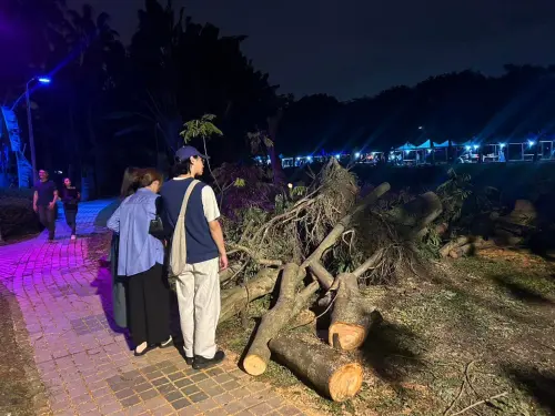 白晝之夜超掉漆　顏若芳揭：最吸引人的是公園殘枝敗葉
