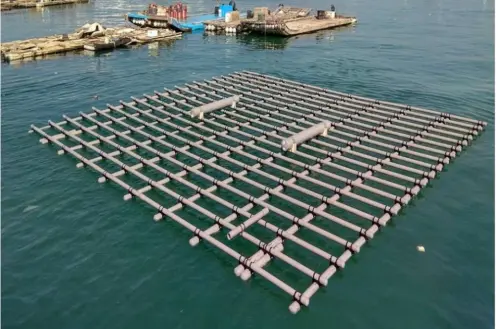 全聯「鯛魚排」驗出禁藥！漁業署展開調查　推測疑由水源污染導致
