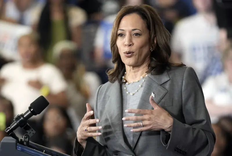 ▲美國前副總統賀錦麗(Kamala Harris)日前宣布不會參選加州州長,且準備要出書回顧自己去年競選的心路歷程,被外界視為有意替再戰2028美國總統大選鋪路。(圖/美聯社/達志影像)