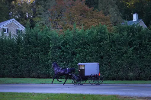 ▲艾美許人的馬車被捕捉到沿著賓州斯特拉斯堡的街道行駛。（圖／美聯社／達志影像）