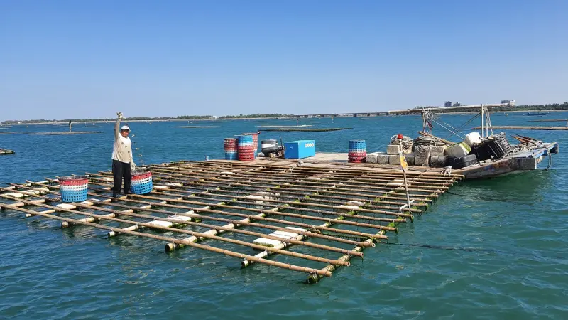 ▲康芮颱風襲台，造成台南市淺海浮筏式牡蠣養殖損失慘重，為協助蚵民早日復養，農業部今天拍板決定輔導產業補助每棚5,000元，黃偉哲也加碼補助每棚1,000元。(圖／南市府提供)