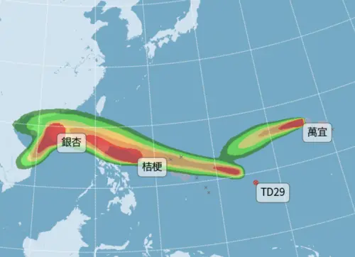 ▲桔梗颱風、萬宜颱風、銀杏颱風並立，是30年來首次在11月同時存在3個颱風，且天兔颱風也可能要生成。（圖／中央氣象署）