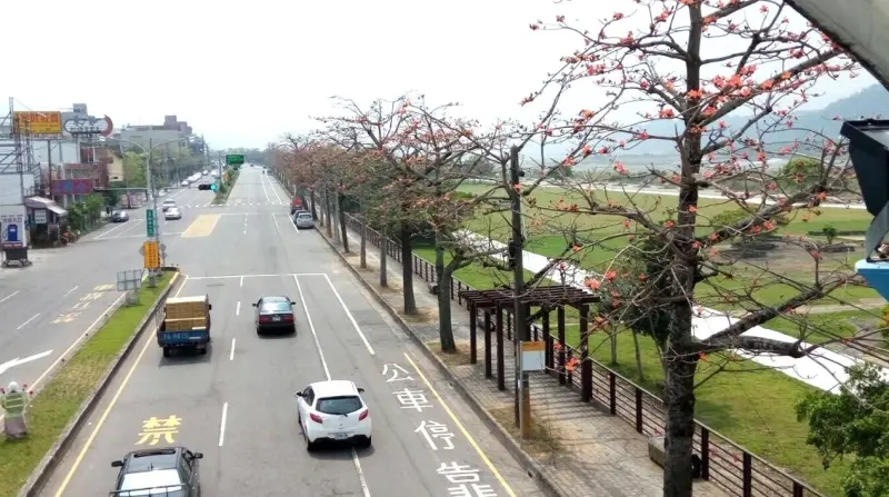 ▲木棉道雖然浪漫，但花朵、果實落地後都是困擾。（圖／台中市政府提供，2024.11.12）