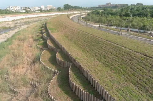 以竹樁固化植生取代混凝土坡面 ▲以竹樁固化植生取代混凝土坡面(圖/水利署)
