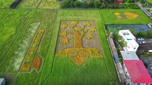 ▲桃園花彩節今年晉升為「2024大溪水岸花卉農遊」，並於今（16）日登場，展區花田面積達12公頃，勾勒出各種圖案。（圖／取自大溪月眉休閒農業發展協會臉書）