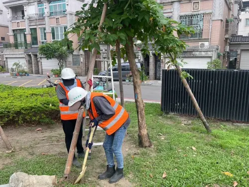 天兔颱風加速來襲！高雄市啟動防颱準備　公園處加強樹木巡檢固定
