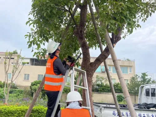 天兔颱風來襲　高市公園處提醒路樹下勿停車
