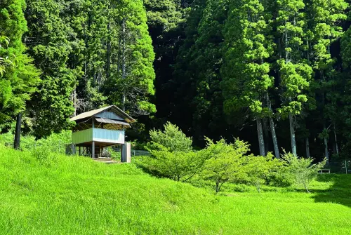 ▲國人有機會體驗棚田農事，從產地到餐桌來場深度之旅。（圖／良品計畫提供）