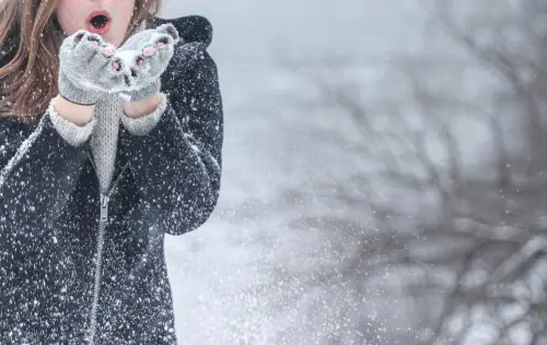 小雪「吃黑色食物」3招開運：財富全吸來　3生肖財運事業雙豐收
