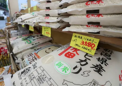 遊日注意!日本米價飆漲58%創最大漲幅 Sukiya牛丼今年兩度漲價