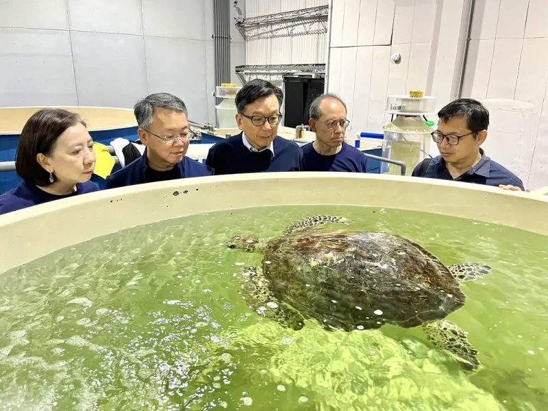 重視生物多樣性　中信金控獨立董事投入鯨豚及海龜保育