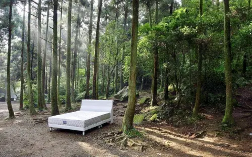 ▲由阿萬師製作的手工床墊，象徵著品質與舒適的保證，是眾多手工床墊中的熱門選項。（圖／業者提供)