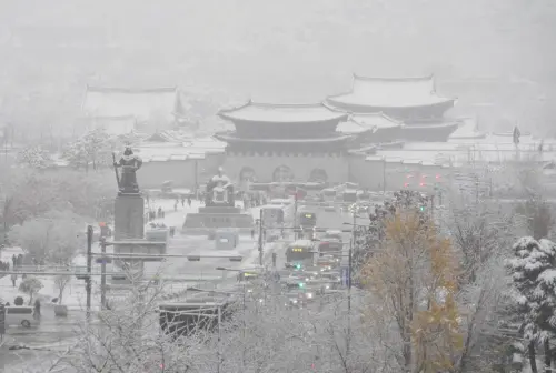 韓國「百年最強大雪」癱瘓交通！積雪堵大門　有民眾剷雪被樹壓死
