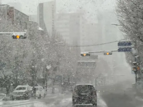 影／韓百年大雪！首爾「導航全塞爆」　台灣遊客：人車都不敢超速
