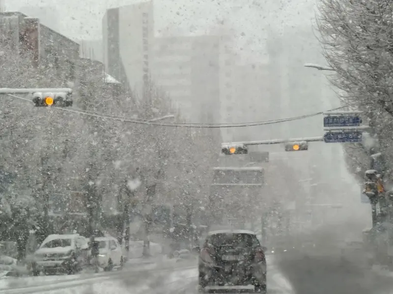 ▲韓國近日出現百年大雪，一名人在首爾的台灣遊客向《NOWnews》表示，罕見大雪導致的路面結冰迫使當地行人、車輛都必須放慢速度避免打滑。（圖／民眾提供）