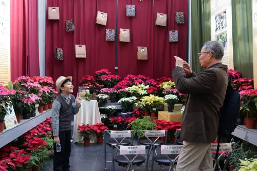 迎接耶誕節 科博館《繽紛花聚展》600盆聖誕紅絢麗開展
