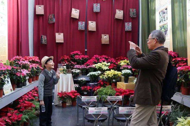 ▲迎接聖誕節，科博館植物園即日起推出《繽紛花聚—聖誕紅展》，用600盆多彩的聖誕紅盆花營造繽紛花海及歡樂節慶氛圍，（圖／科博館提供）