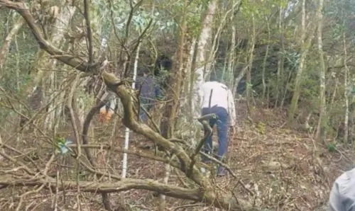 巡守員頭部中彈身亡!鋼珠從鼻孔射入卡頭顱 疑獵槍走火釀憾事