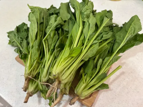 ▲菠菜買回家冷藏2至3天,菜葉就會乾扁、失去水分,日本食品大廠分享菠菜冷凍保存,最長可保鮮約1個月。(圖/記者徐銘穗攝) ▲菠菜買回家冷藏2至3天,菜葉就會乾扁、失去水分,日本食品大廠分享菠菜冷凍保存,最長可保鮮約1個月。(圖/記者徐銘穗攝)