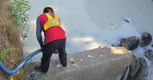 星期一經常死魚的頭汴坑溪又出事了!上游牛角坑溝出現牛奶溝 ▲環保局人員在變成乳白色的牛角坑溝抽水採樣。(圖/台中市議員江和樹提供,2024.12.01)