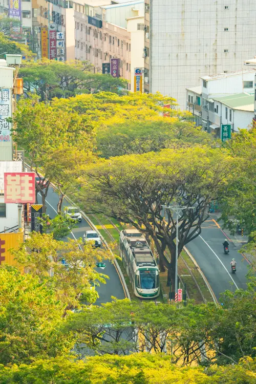 ▲高雄輕軌二階路權範圍內綠覆率達68%，有效降低都市熱島效應。（圖／高市府捷運局提供）