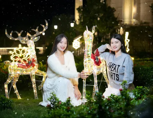 ▲麋鹿家族、泡泡燈海進駐布萊恩廣場，無論早晚都能拍出滿滿聖誕浪漫氛圍。（圖／官方提供）