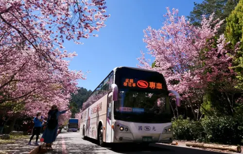 ▲每年的櫻花季，武陵農場園區及週邊道路進行人車管制。（圖／武陵農場提供，2024.12.04）