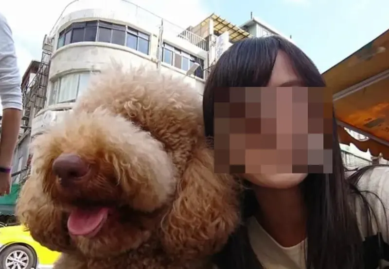 ▲區塊鏈金融犯罪首席調查師陳梅慧魂斷國道,黃智賢表示追查到底才能告慰英雄。(圖/翻攝陳梅慧臉書)