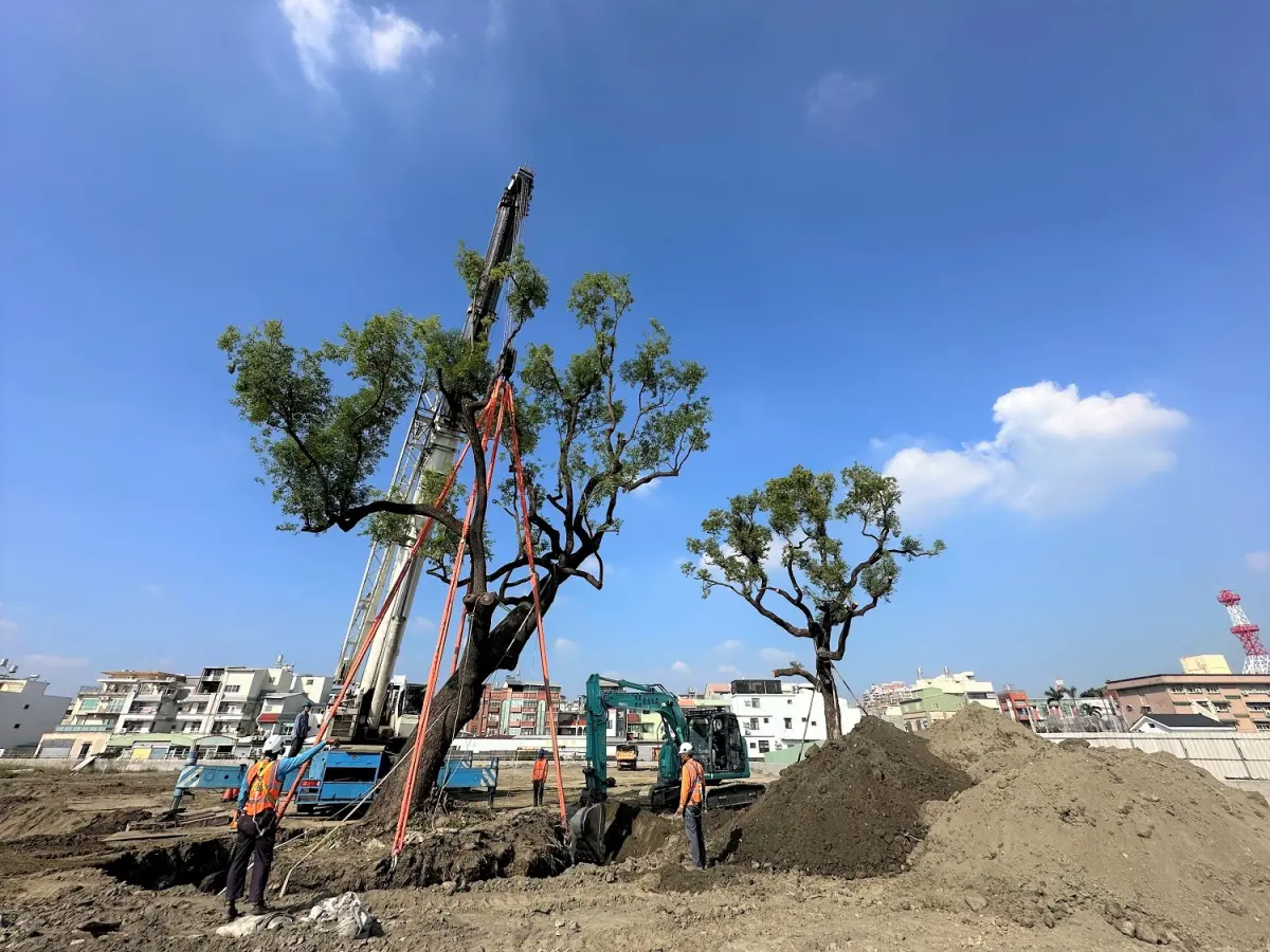 ▲老樹移植過程中採用低噪音、低排放的施工設備，降低對周邊生態的影響，讓老樹繼續成長。（圖／屏東縣府提供）