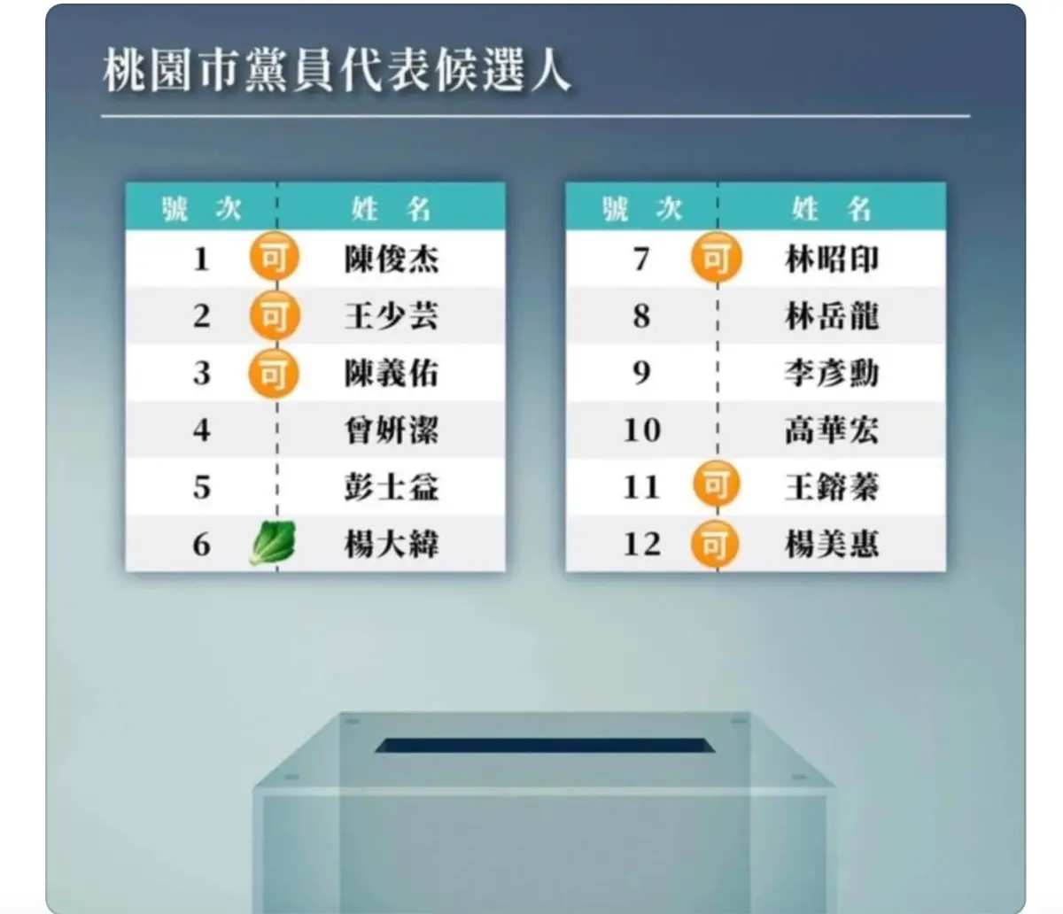 ▲民眾黨黨代表選舉傳出一份投票寶典，在候選人前方註記「可」或是「蔬菜」符號。（圖／讀者提供，2024.12.07）