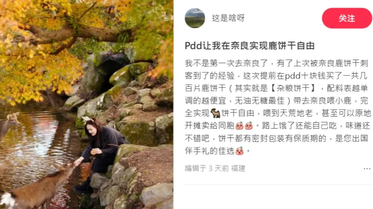 ▲中國女子在小紅書自爆女，前往日本奈良旅遊時，擅自餵食中國製的便宜餅乾給奈良公園的鹿群。（擷取自小紅書）