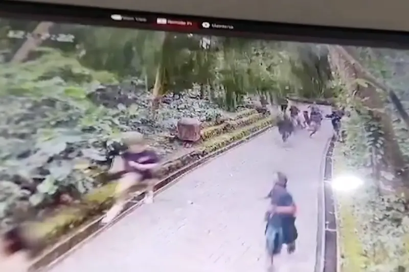 ▲印尼峇里島知名景點聖猴森林公園近日發生一起死亡意外，園內3顆大樹被強風吹斷倒塌，導致附近遊客驚叫逃竄，有2位外籍女遊客不幸被倒塌大樹砸中，送醫不治身亡。（圖／美聯社影片截圖）