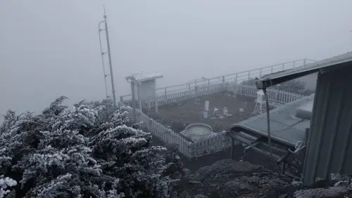 今晨低溫零下1.6℃!玉山結霜+霧淞「雪白一片」 絕美畫面曝光