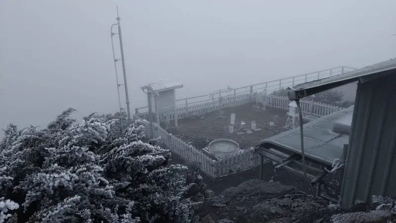 ▲今早8時玉山氣溫跌至零下1.6度，出現霜與霧淞，整片植被染成一片雪白色，相當夢幻。（圖／中央氣象署提供）