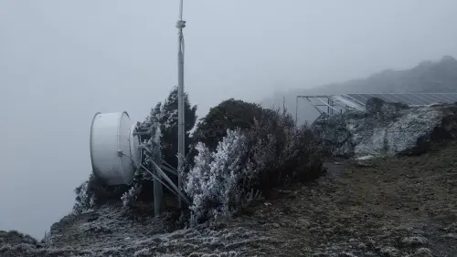 ▲今早8時玉山氣溫跌至零下1.6度，出現霜與霧淞，整片植被染成一片雪白色，相當夢幻！