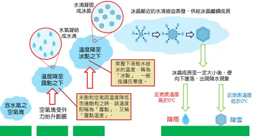 ▲雪主要是氣態水在冰晶表面凝華（氣態直接形成固態），逐漸構築一層層結晶​，最終形成一片雪花。（圖／中央氣象署提供）