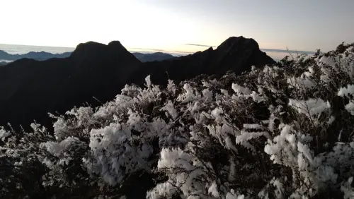 氣溫零下5.7度!玉山「一整片霜淞」畫面曝光 沒下雪也美到不行