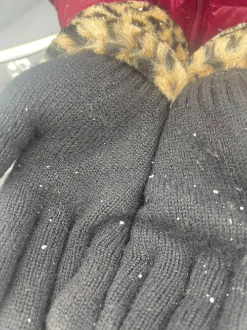 武嶺終於降下今年入冬初雪,不少前往追雪的民眾也紛紛在社群打卡。(圖/網友分享) ▲武嶺終於降下今年入冬初雪,不少前往追雪的民眾也紛紛在社群打卡。(圖/網友分享)