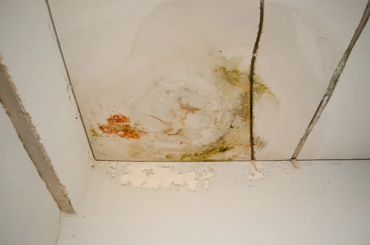 ▲住頂樓天花板漏水怎麼辦？其實頂樓漏水不用自己修，專業代書和檢察官都表示，大樓頂樓屬於公設，應該由管委會修繕！（示意圖／信義房屋提供）