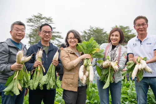 ▲蔡其昌全國跑透透，14日跟著副總統蕭美琴腳步，到高雄美濃拔蘿蔔。（圖／翻攝蔡其昌臉書，2024.12.17）