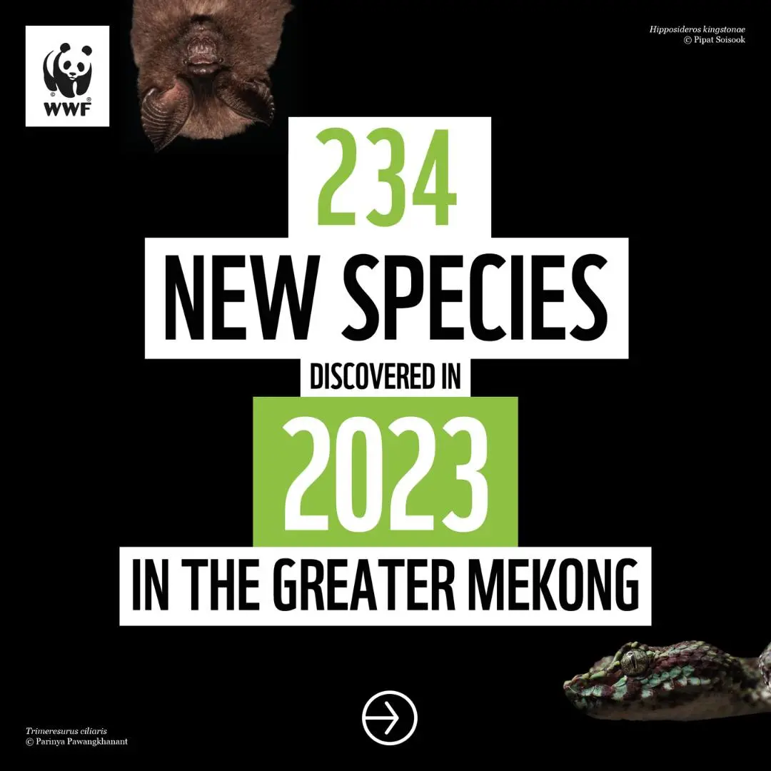 ▲世界自然基金會（WWF）公布最新報告，2023年在東南亞湄公河地區所發現的234種新動植物物種。（圖／翻攝自WWF臉書）