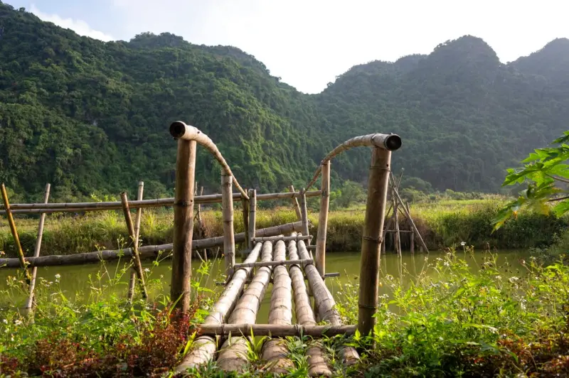 ▲越南海防市的吉婆群島（Cat Ba Archipelago）2023年正式獲聯合國列為「下龍灣－吉婆群島」世界自然遺產。（圖／美聯社／達志影像）