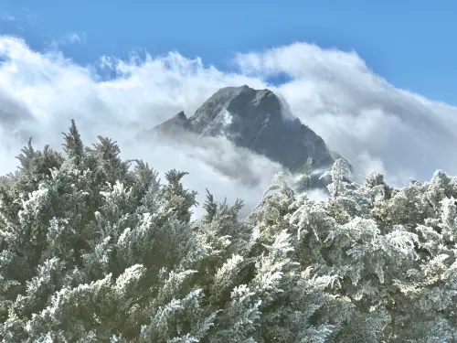 玉山早上-4.1度！霧淞+雨淞「變銀白世界」　雲開露主峰仙境美呆
