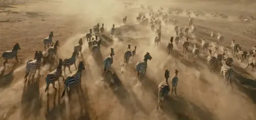 ▲《星際寶貝：史迪奇》致敬《獅子王》。（圖／迪士尼）