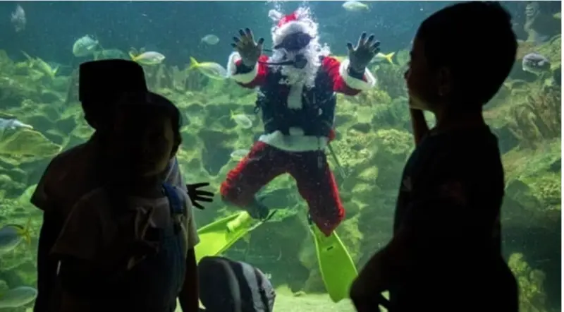 ▲馬來西亞一家水族館推出聖誕老人餵魚秀。（圖／翻攝自臉書）